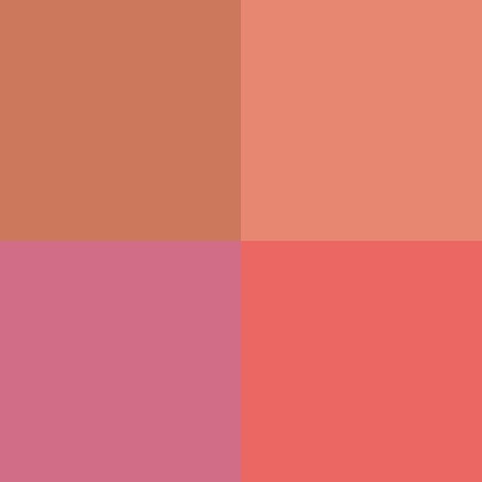 FITGLOW Beauty – Ceramide Cream Lip + Cheek