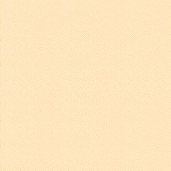 SOVONCARE Instantly Hairline Powder for