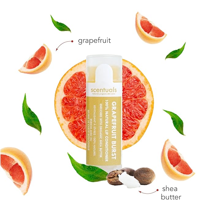 Lip Balm Set of 3, Made Natural