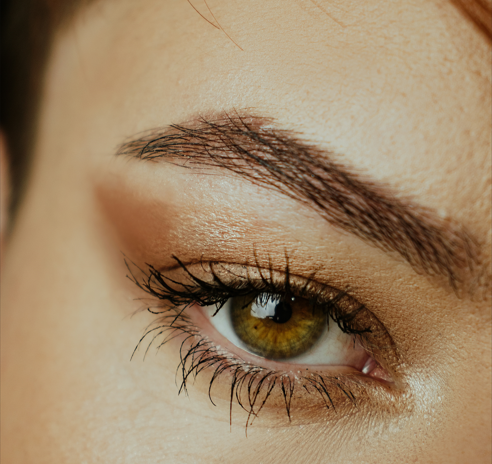 Eye & Brow (Define, Enhance, Express)