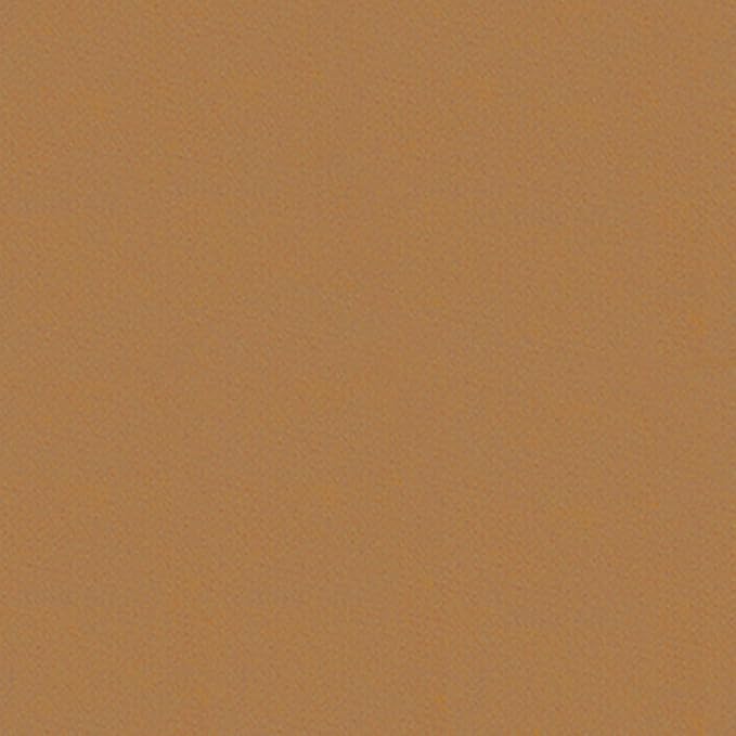 SOVONCARE Instantly Hairline Powder, Hairline