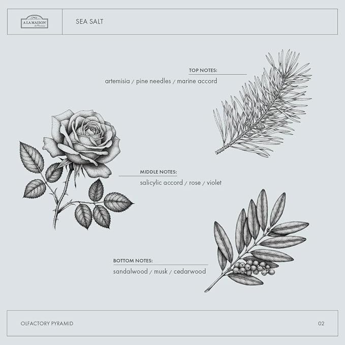 A LA MAISON French Liquid Hand Soap and Eco-Friendly Fresh Sea Salt, 3 pack 16.9 Fl Oz.