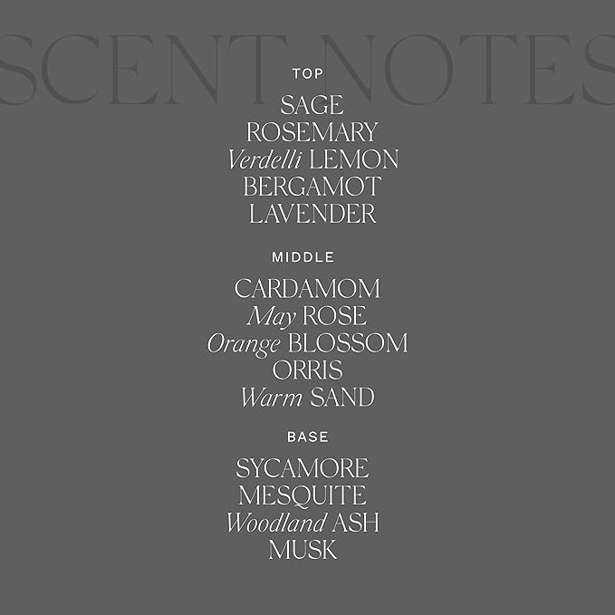 Antica Farmacista Hand Wash -Desert Sage, 10 Fl Oz (Pack of 1)