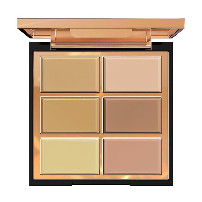 FV 6 Colors Cream Concealer Palette, Full Coverage 01 L