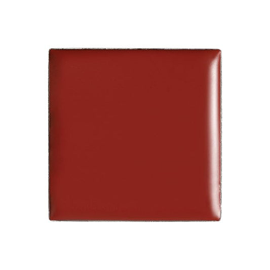 billion dollar brows Lip & Cheek Tint (Praline)