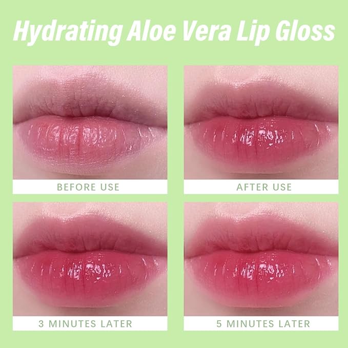 6Pcs Plumping Aloe Vera Lip Oil, Big Brush Lip