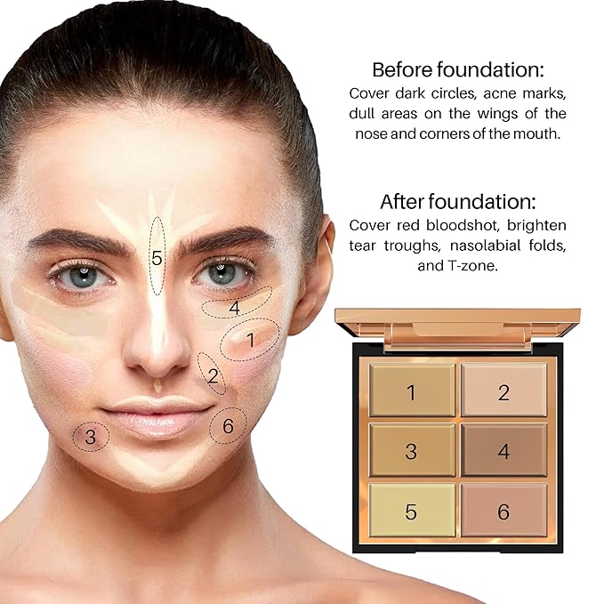 FV 6 Colors Cream Concealer Palette, Full Coverage 01 L