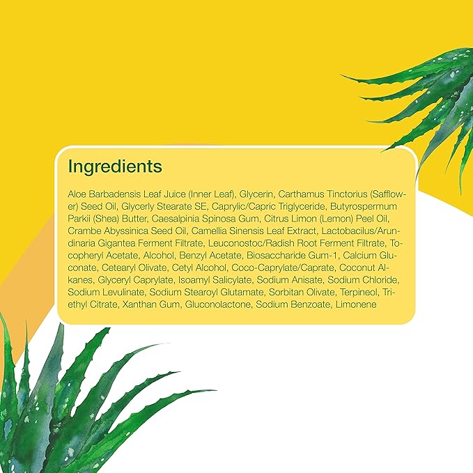 Alba Botanica Aloe Vera Lotion for Skin, Soothing After Sun Treatment for Face and Body, Made with Purity Certified 80% Aloe Vera Gel Formula, 8 fl. oz. Tube (Pack of 2)