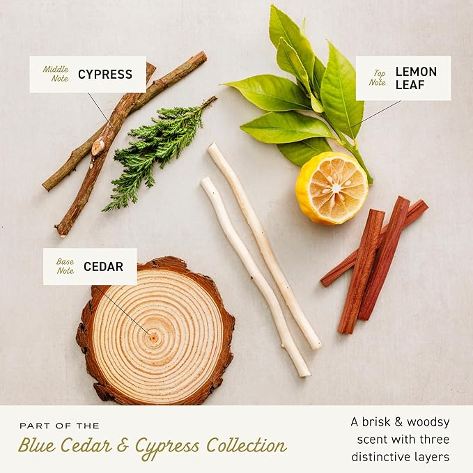 Cremo Cologne for Men - Blue Cedar & Cypress Mens Cologne Spray- A Woodsy Scent with Notes of Lemon Leaf, Cypress and Cedar, Fragrances For Men, 3.4 Fl Oz