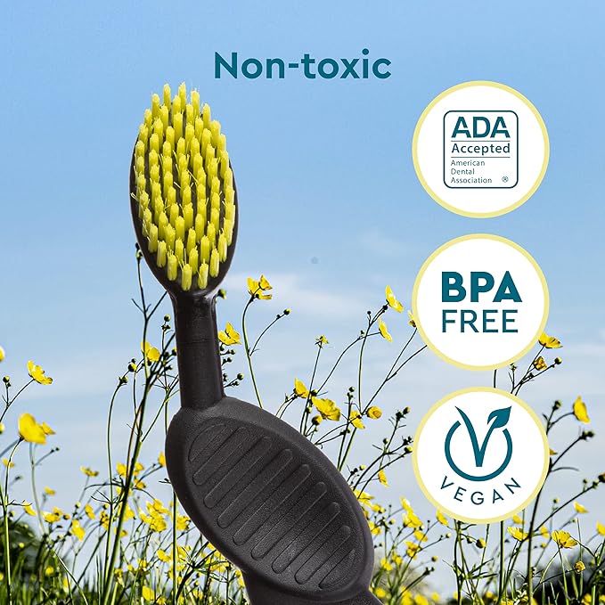 RADIUS Toothbrush, Flex Brush, Soft Bristles, Right Handed, Black Brush with Green Bristels, BPA Free & ADA Accepted, Pack of 1